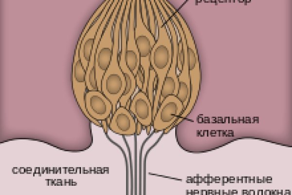 Кракен маркетплейс что там