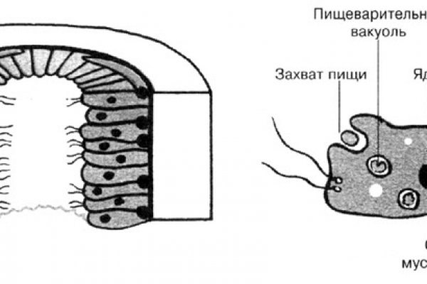 Почему не заходит на кракен